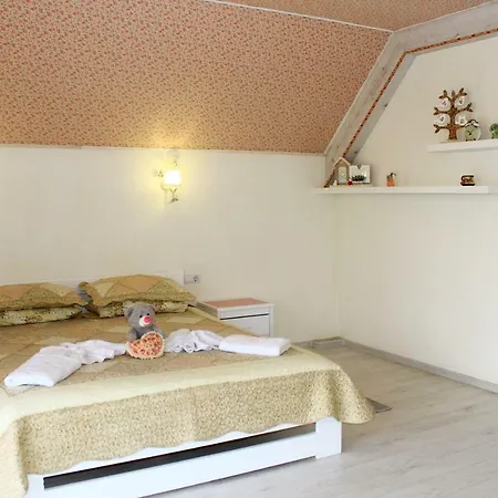 Kvasova Voda Polyana (Transcarpathia)